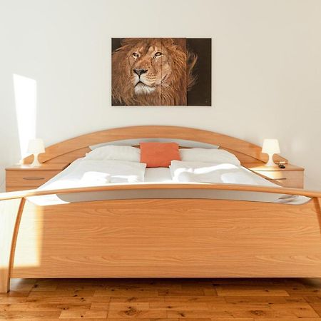 Comfortable 3Br Shared Apart. - Suitable For Long Stays Βιέννη Εξωτερικό φωτογραφία